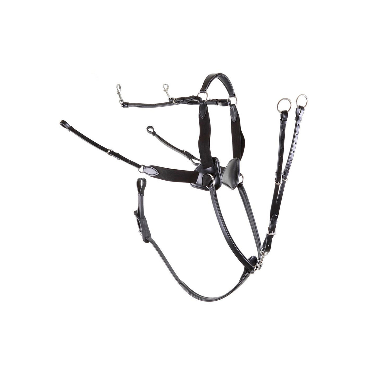 Premiere Vorderzeug