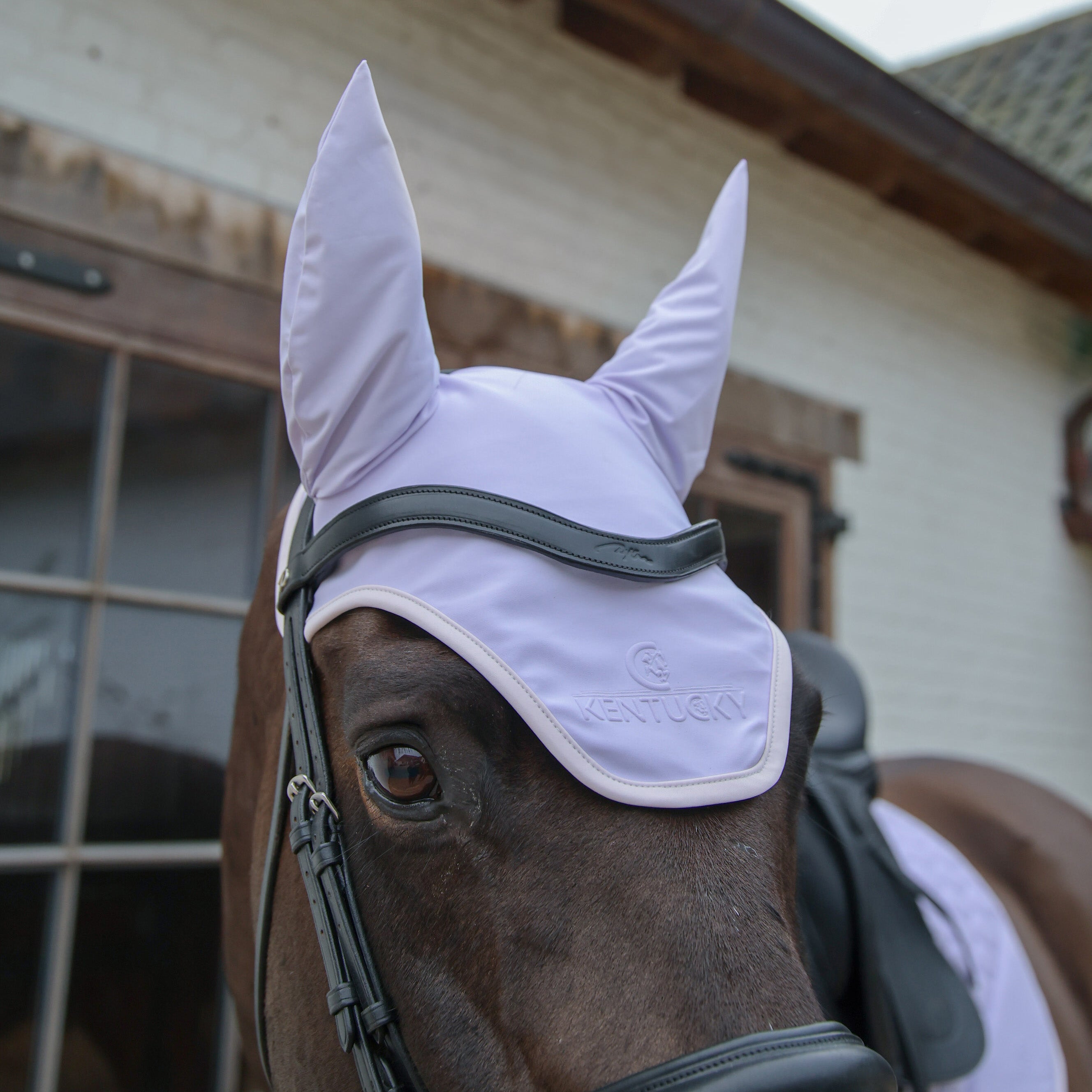 Fliegenhaube Wellington Softshell Helllila Hellrose