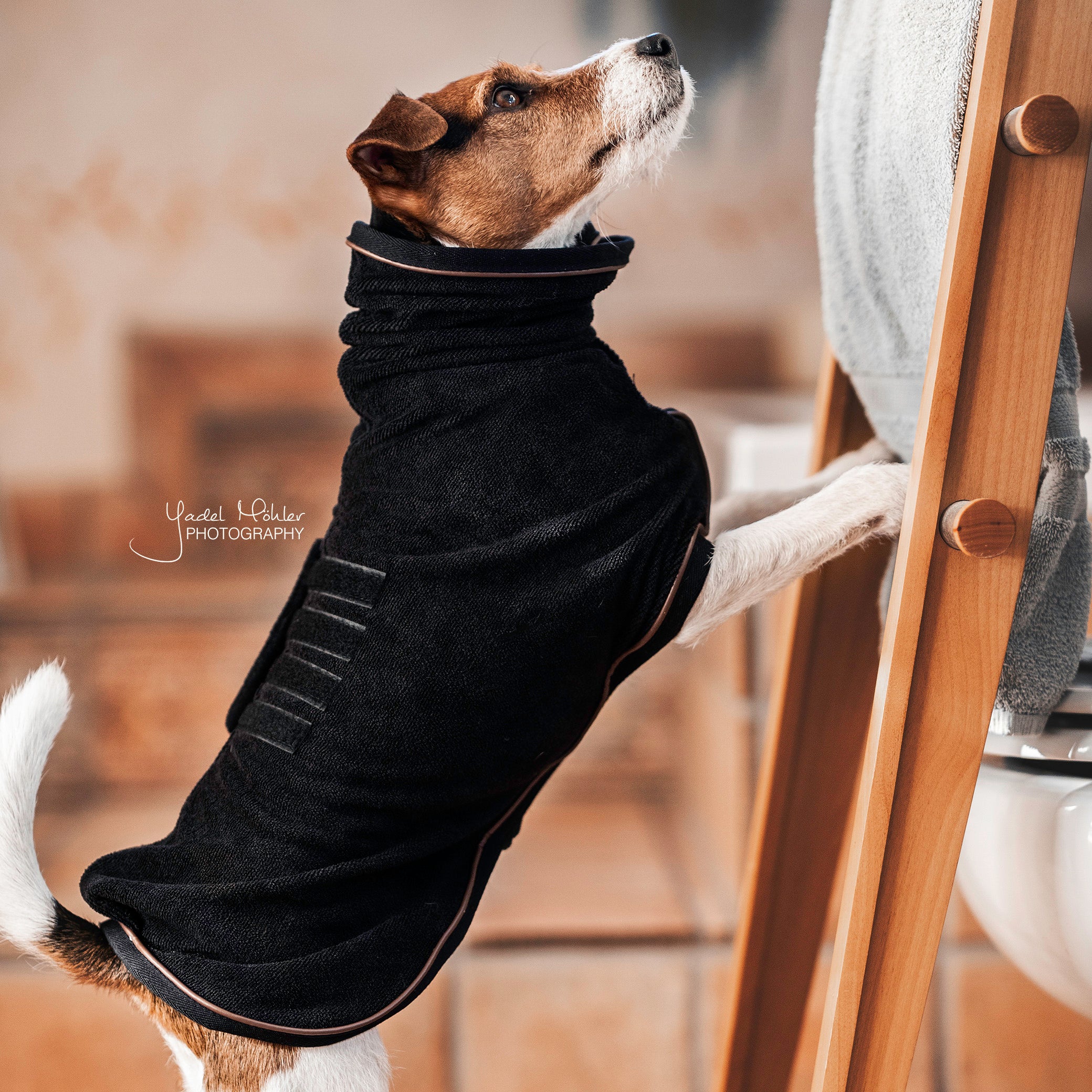 Hundemantel Towel Schwartz