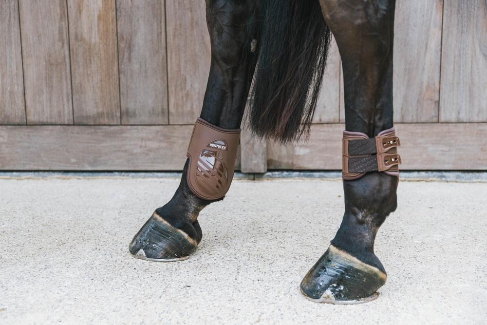 Streichkappe Elastik - Kentucky Horsewear