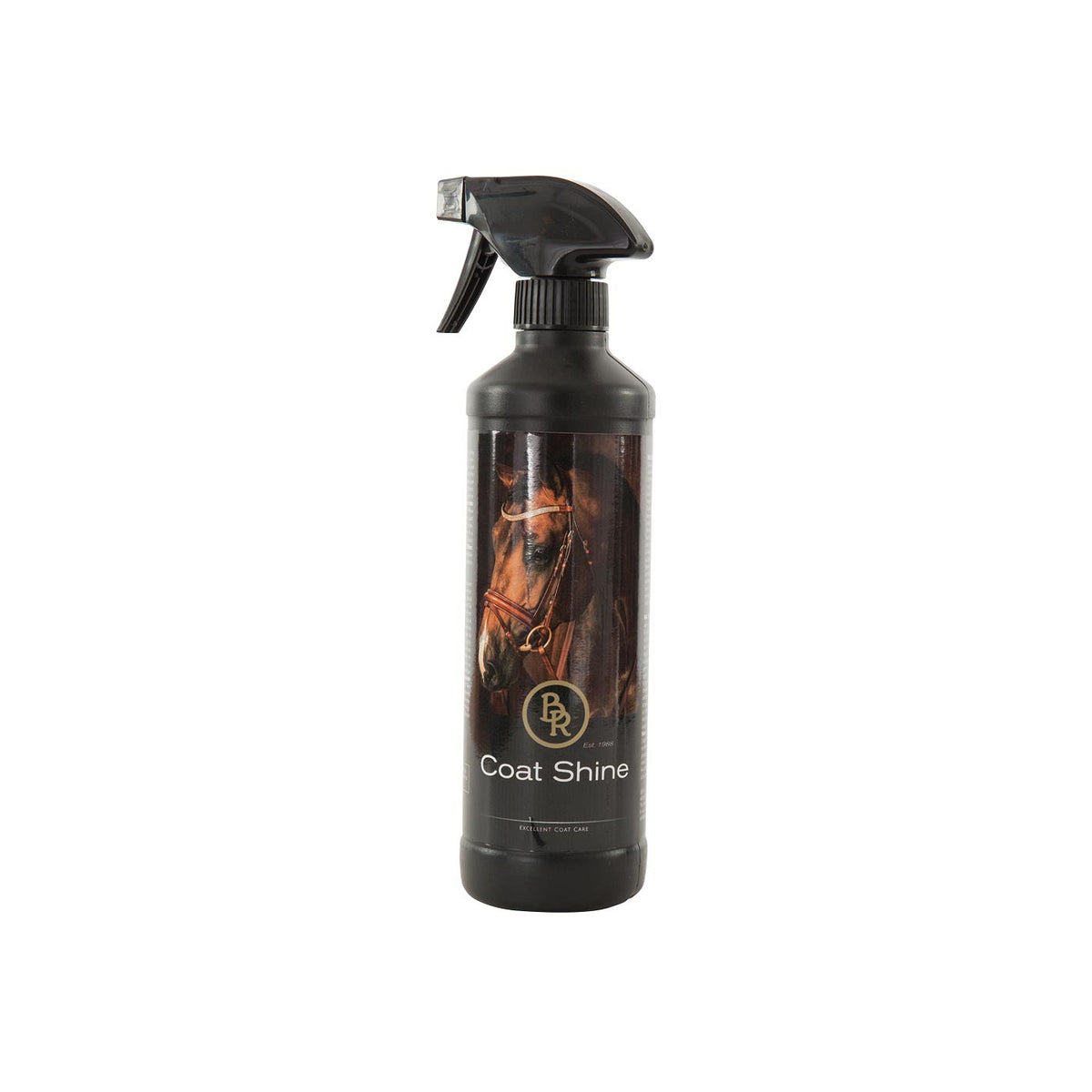 BR Coat Shine 500 ml VE6