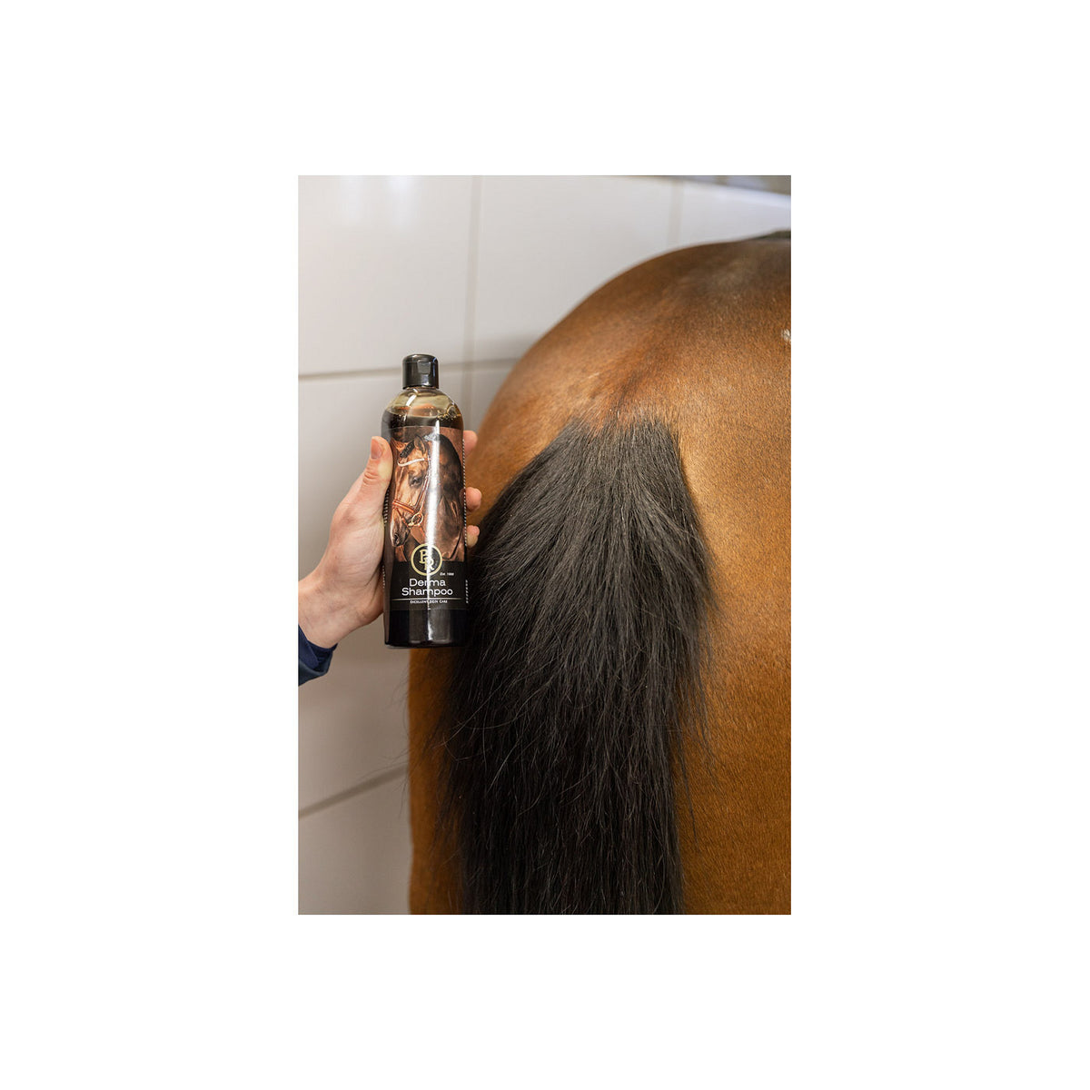 BR Derma Shampoo 500ml