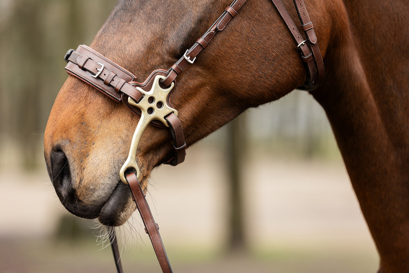TRUST Hackamore Nasenriemen mit cheeks 16 mm cm