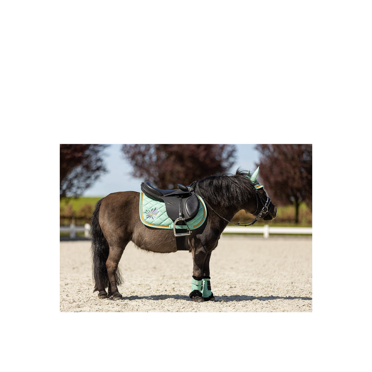 BR Mini Horse Schabracke