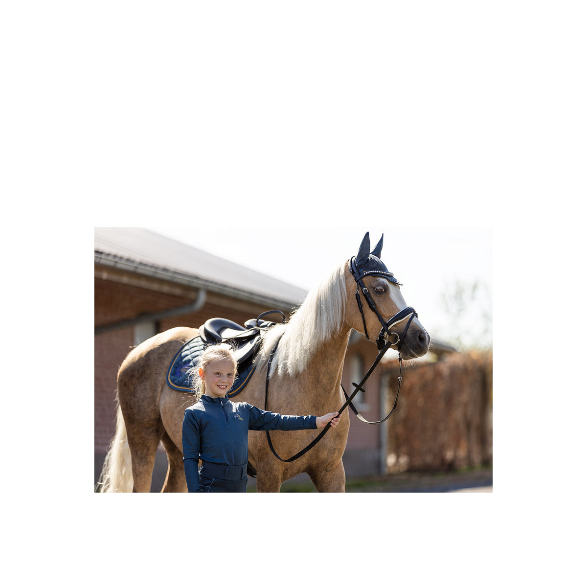 BR Mini Horse Schabracke