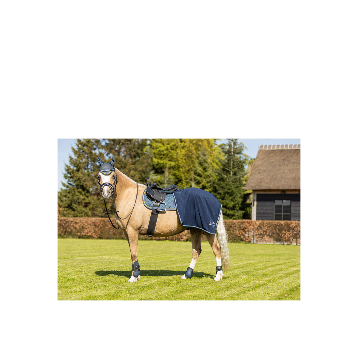 BR Mini Horse Schabracke