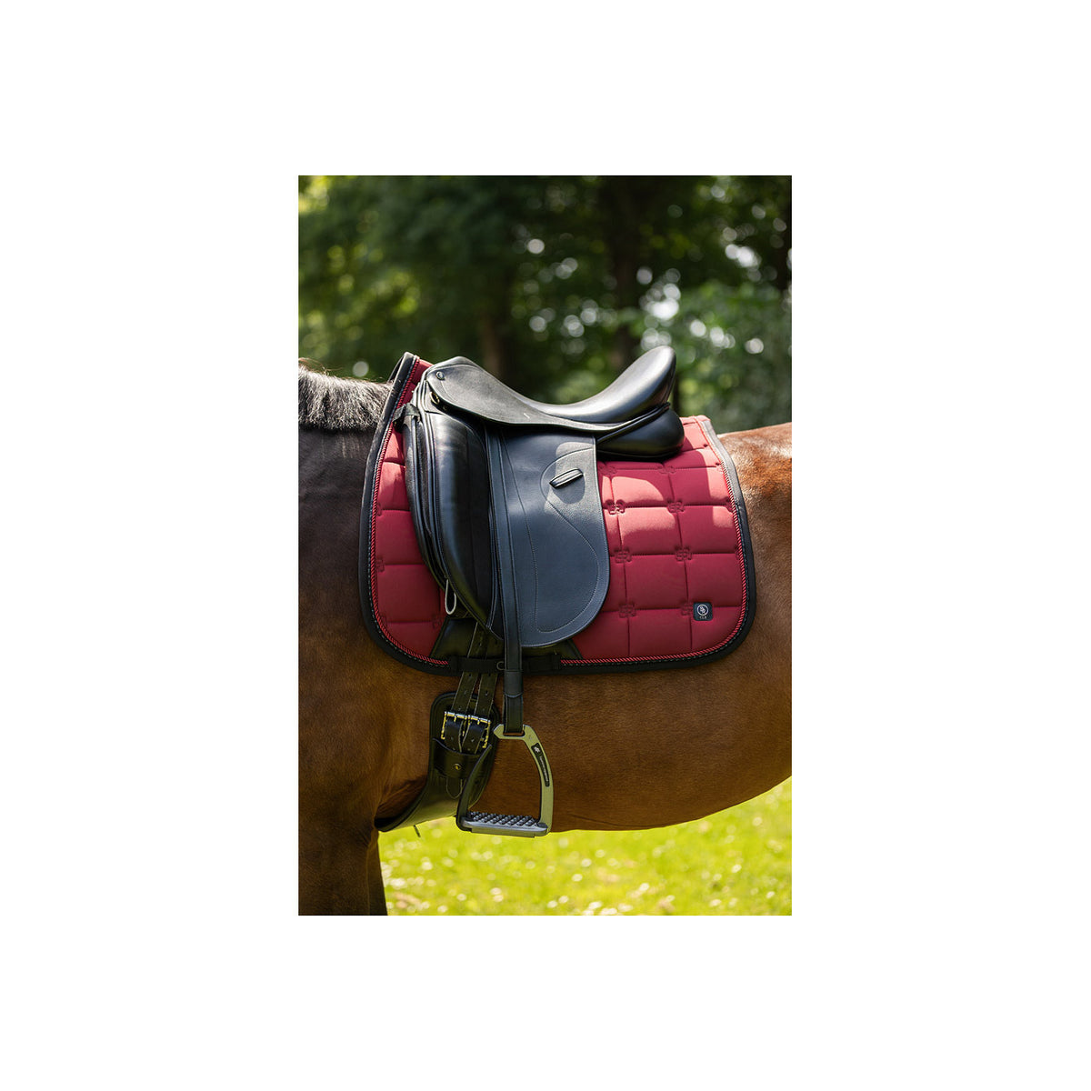 BR CLX Schabracke Dressur