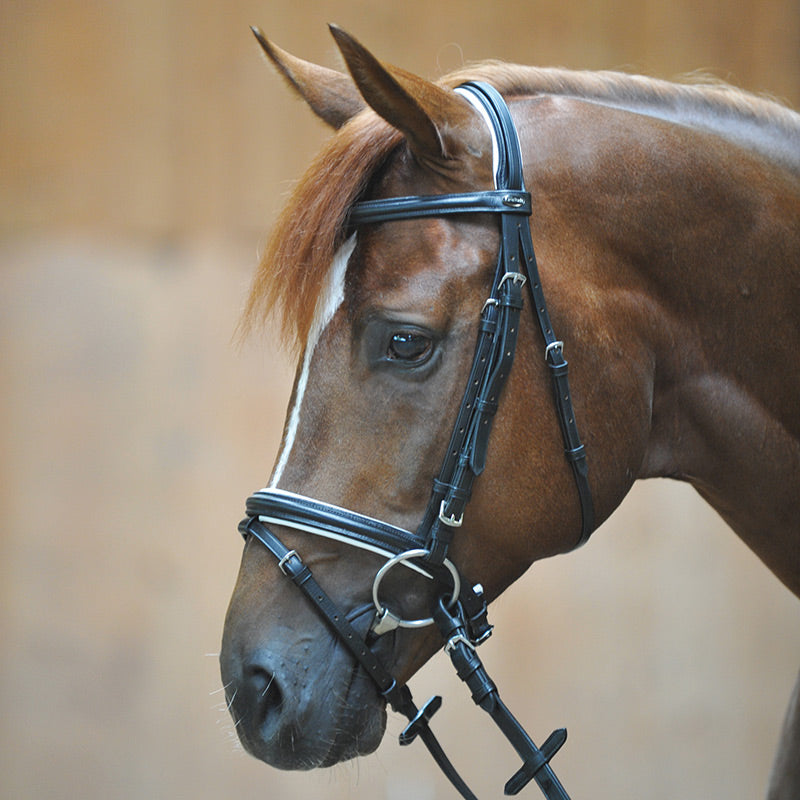 Trense "Quentin" eng.-komb.