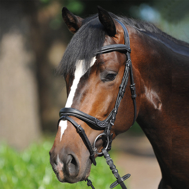 Trense "Ivy" eng.-komb.