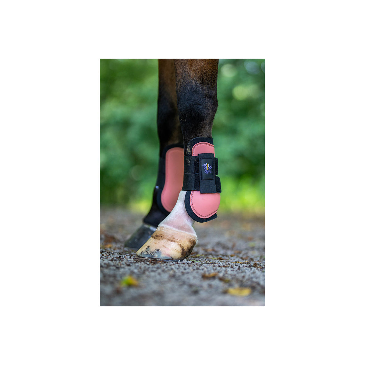 BR Mini Horse Sehnenschoner