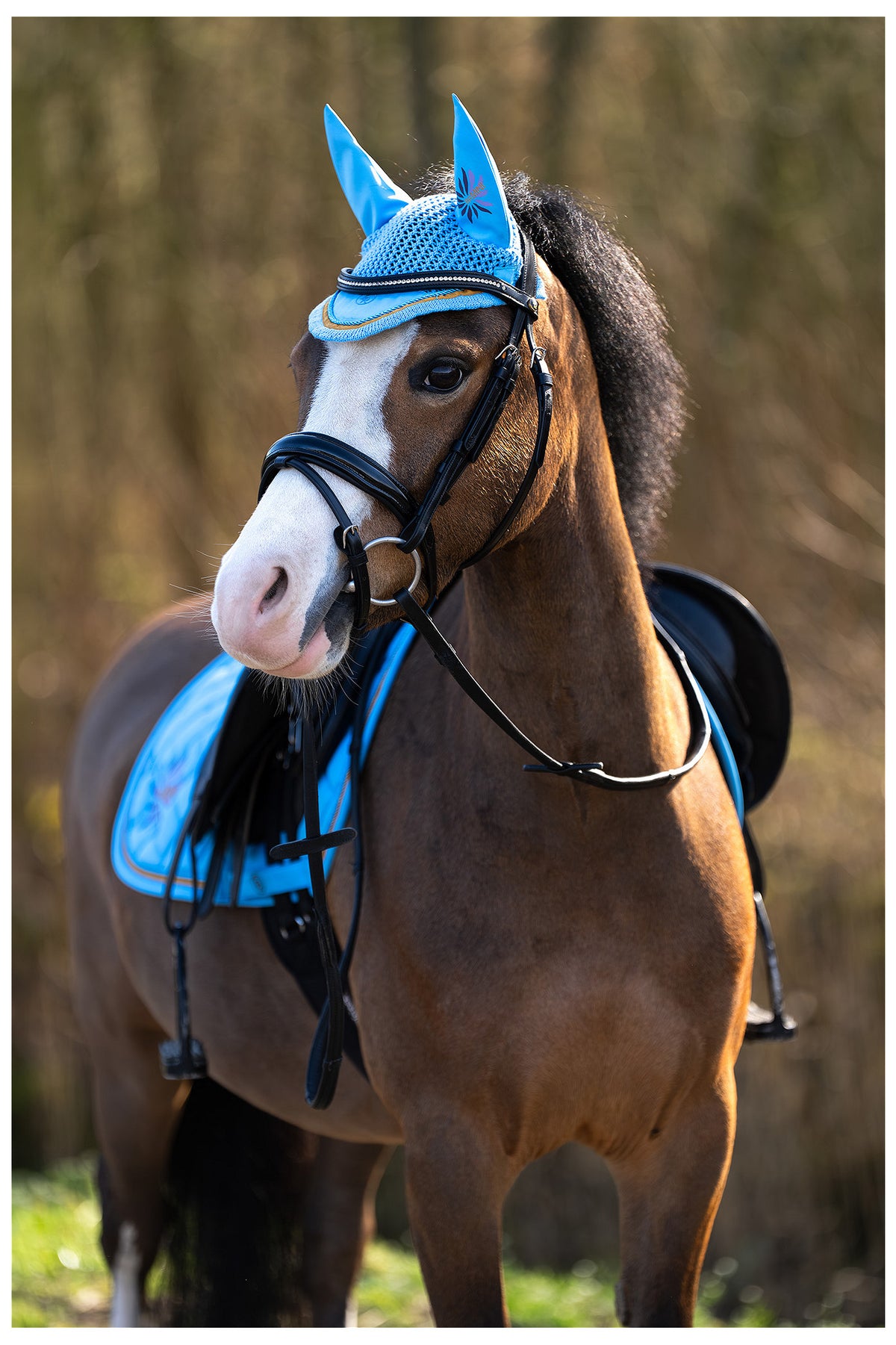 BR Mini Horse Ohrenhaube