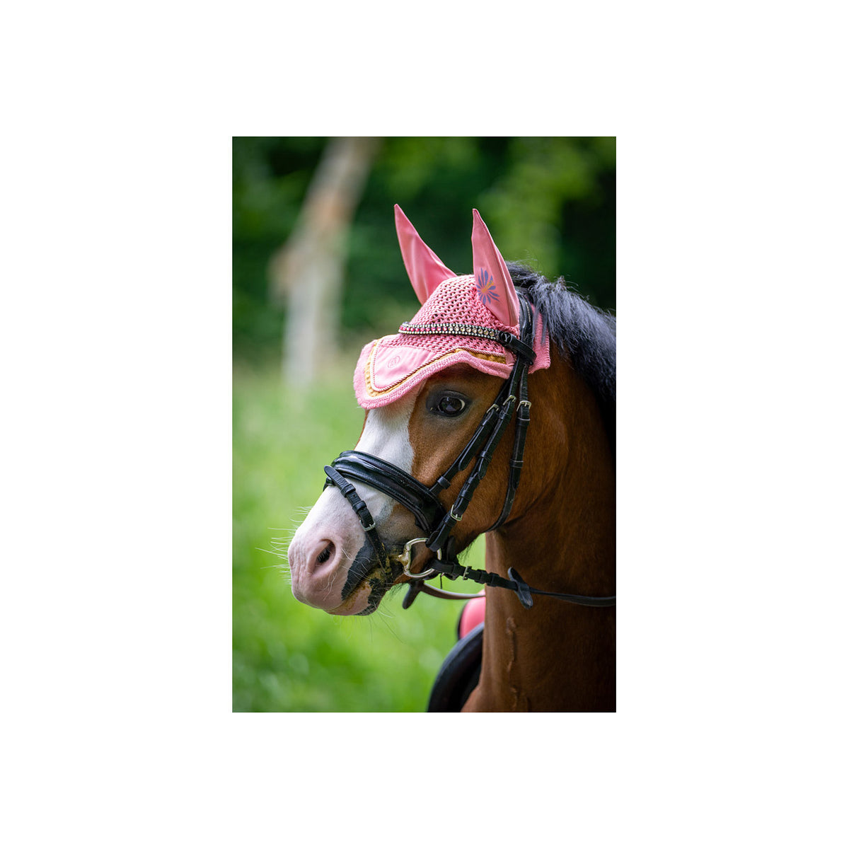 BR Mini Horse Ohrenhaube
