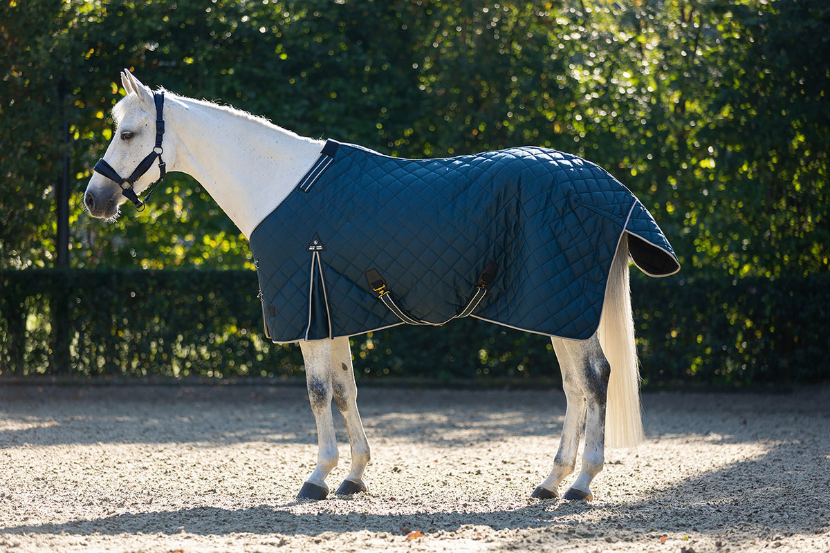 BR Stalldecke Classic 1200D - 300 g