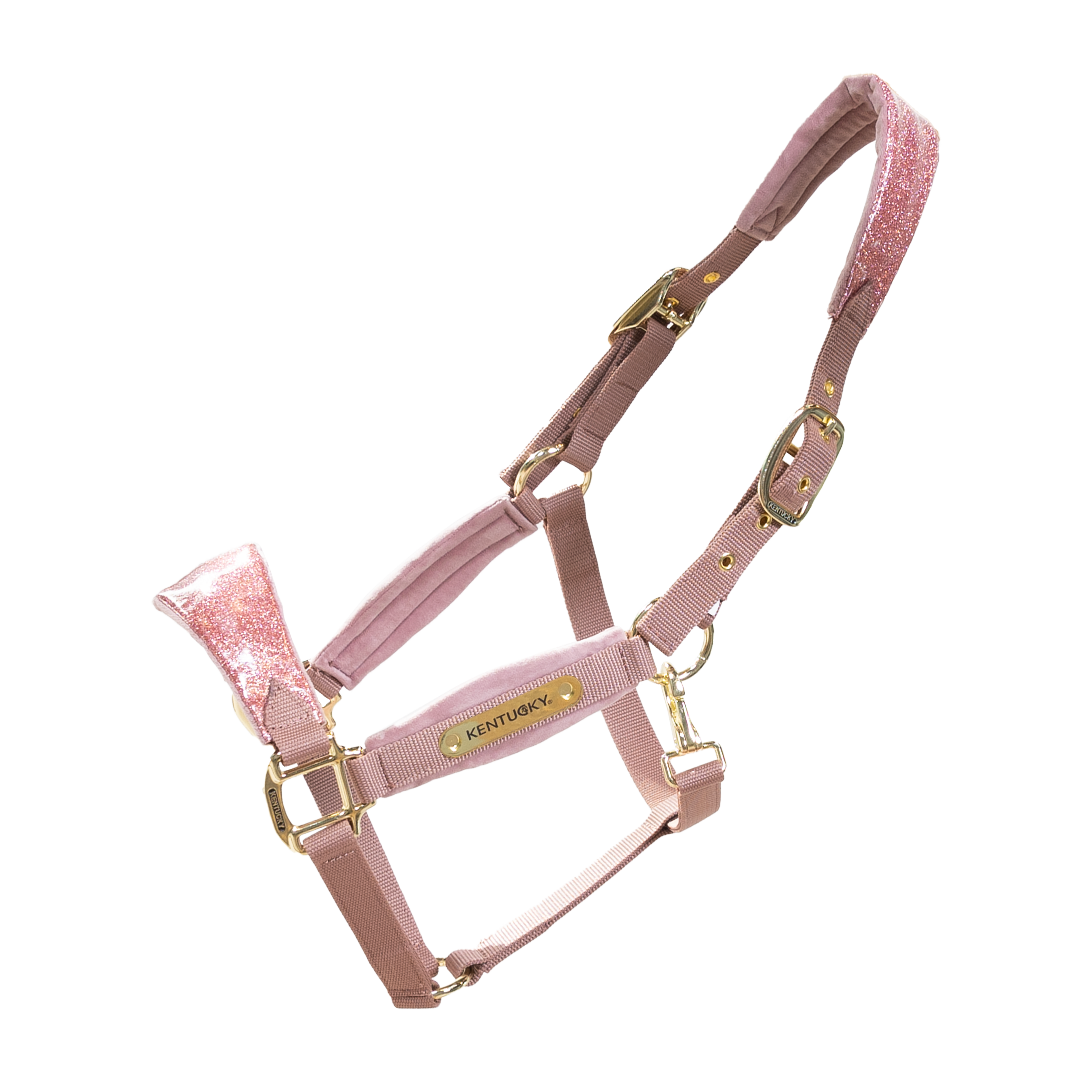 Samt Halfter Einhorn Glitzer Alt