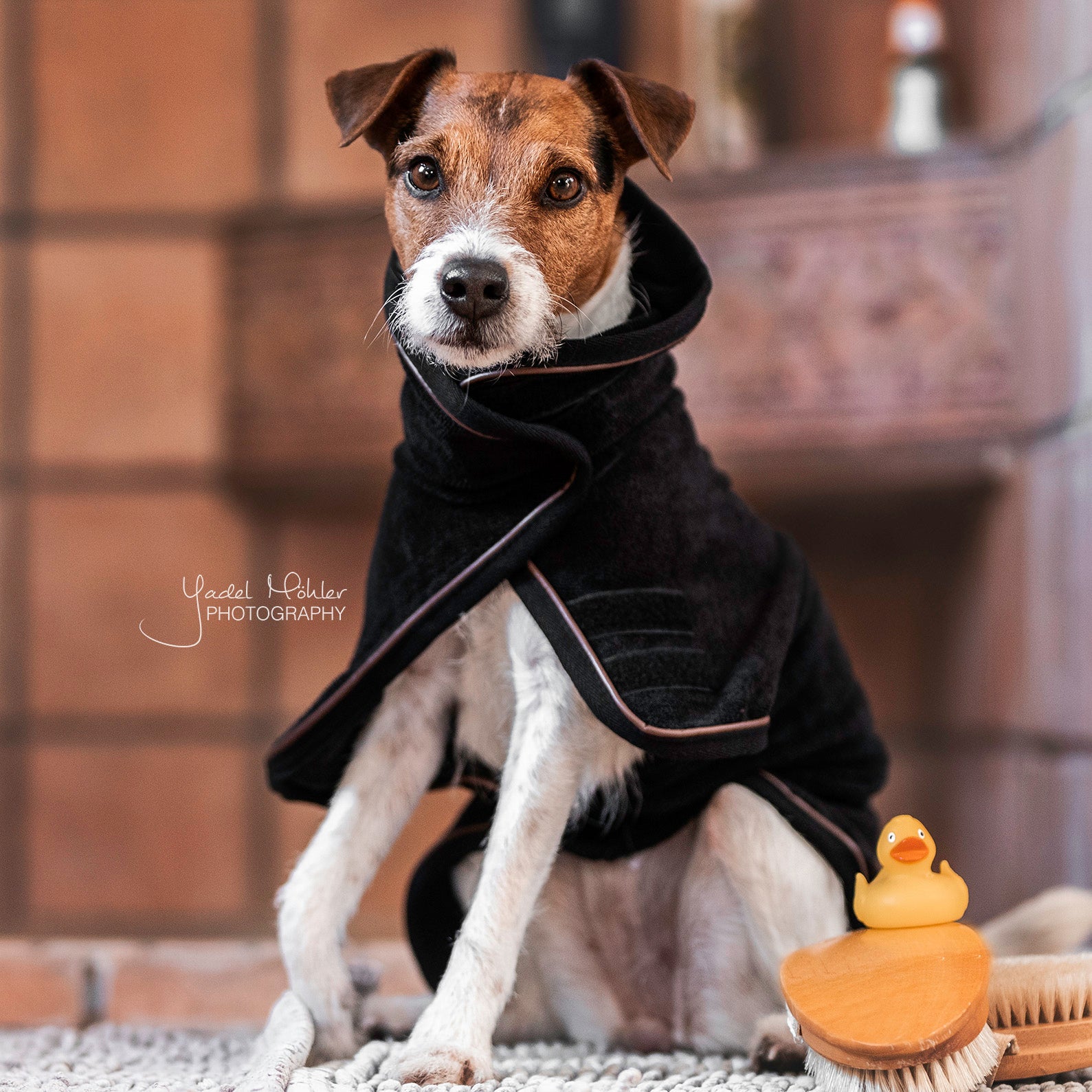 Hundemantel Towel Schwartz