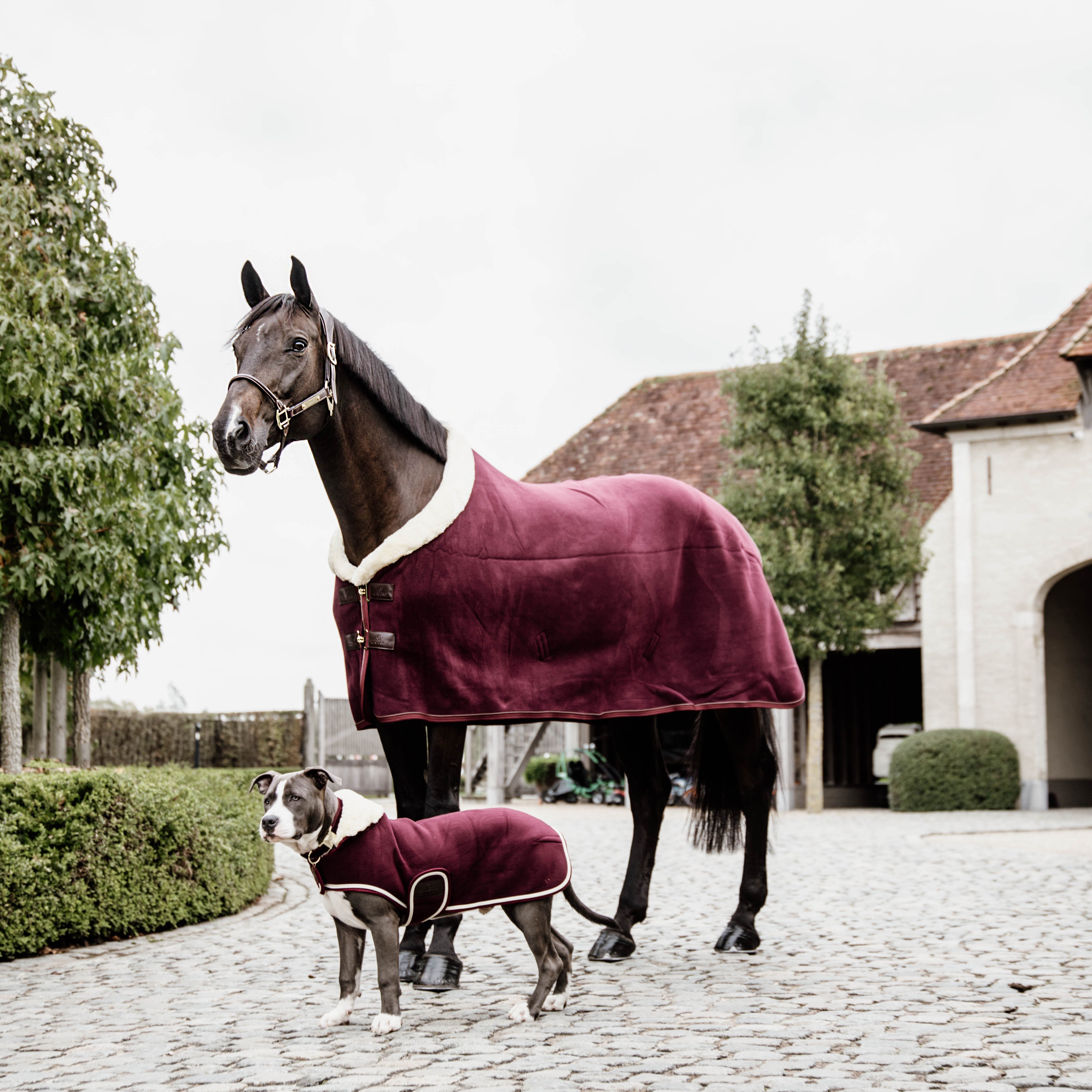 Hundemantel Schwer Fleece Sm
