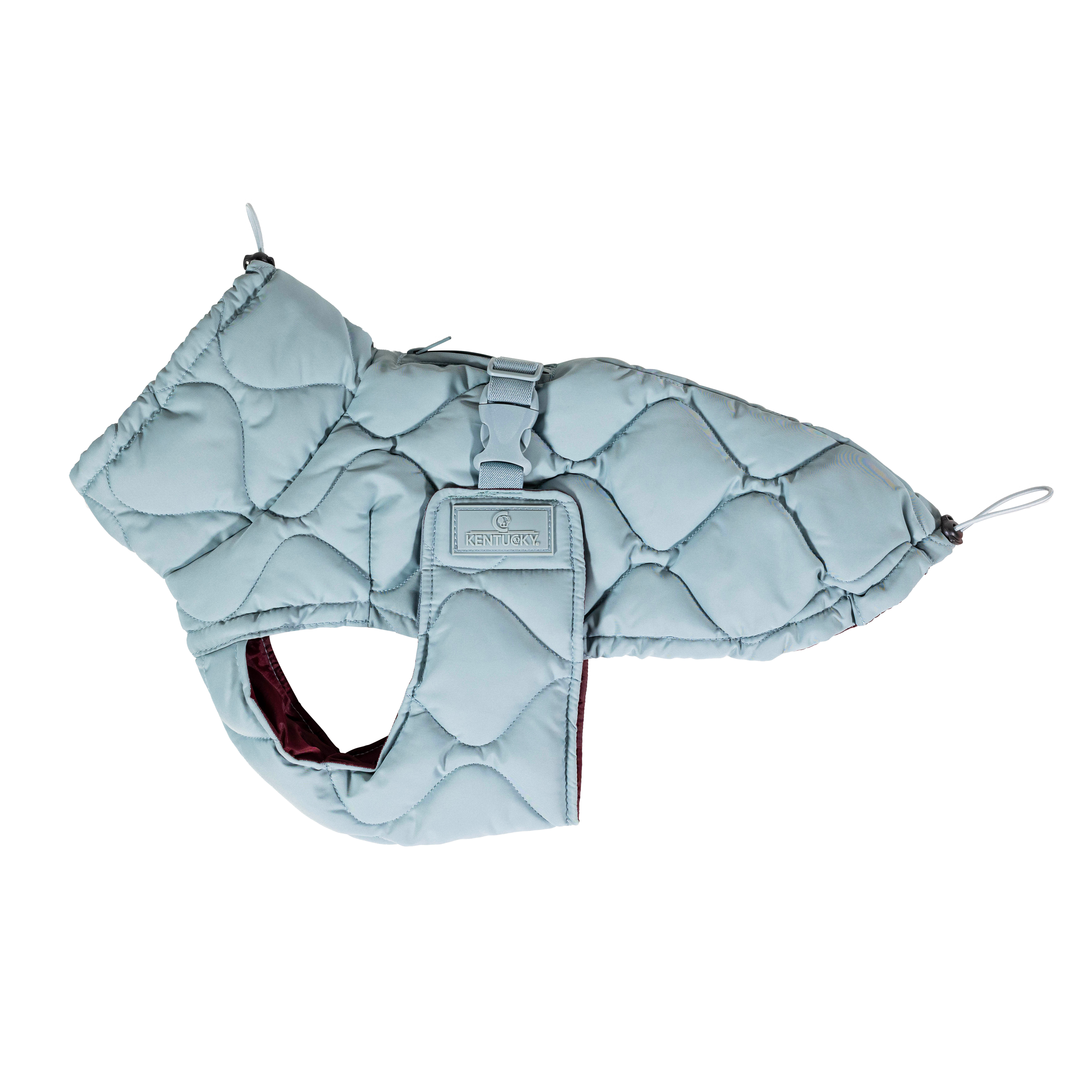 Hundemantel Winter Pina 62