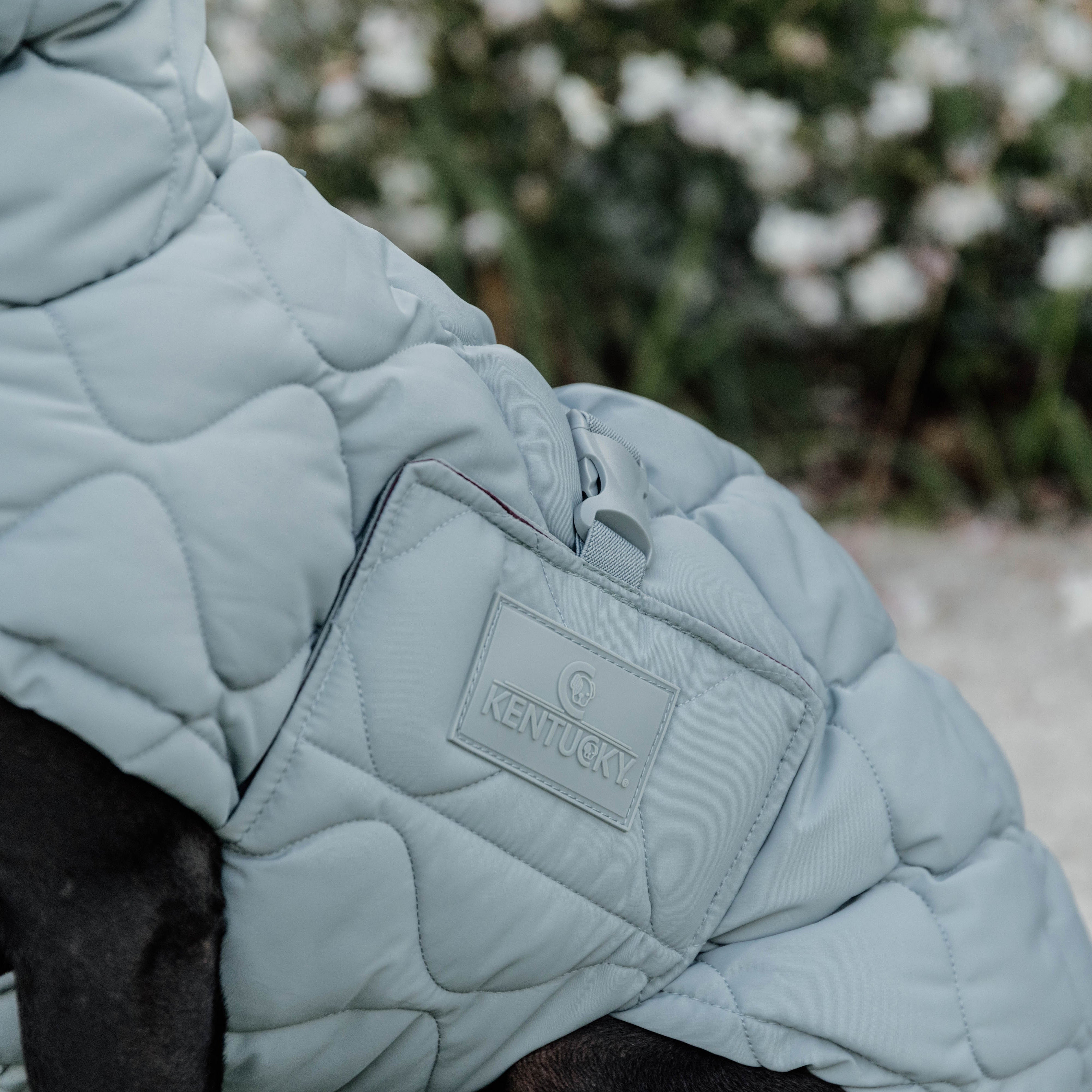Hundemantel Winter Pina 68