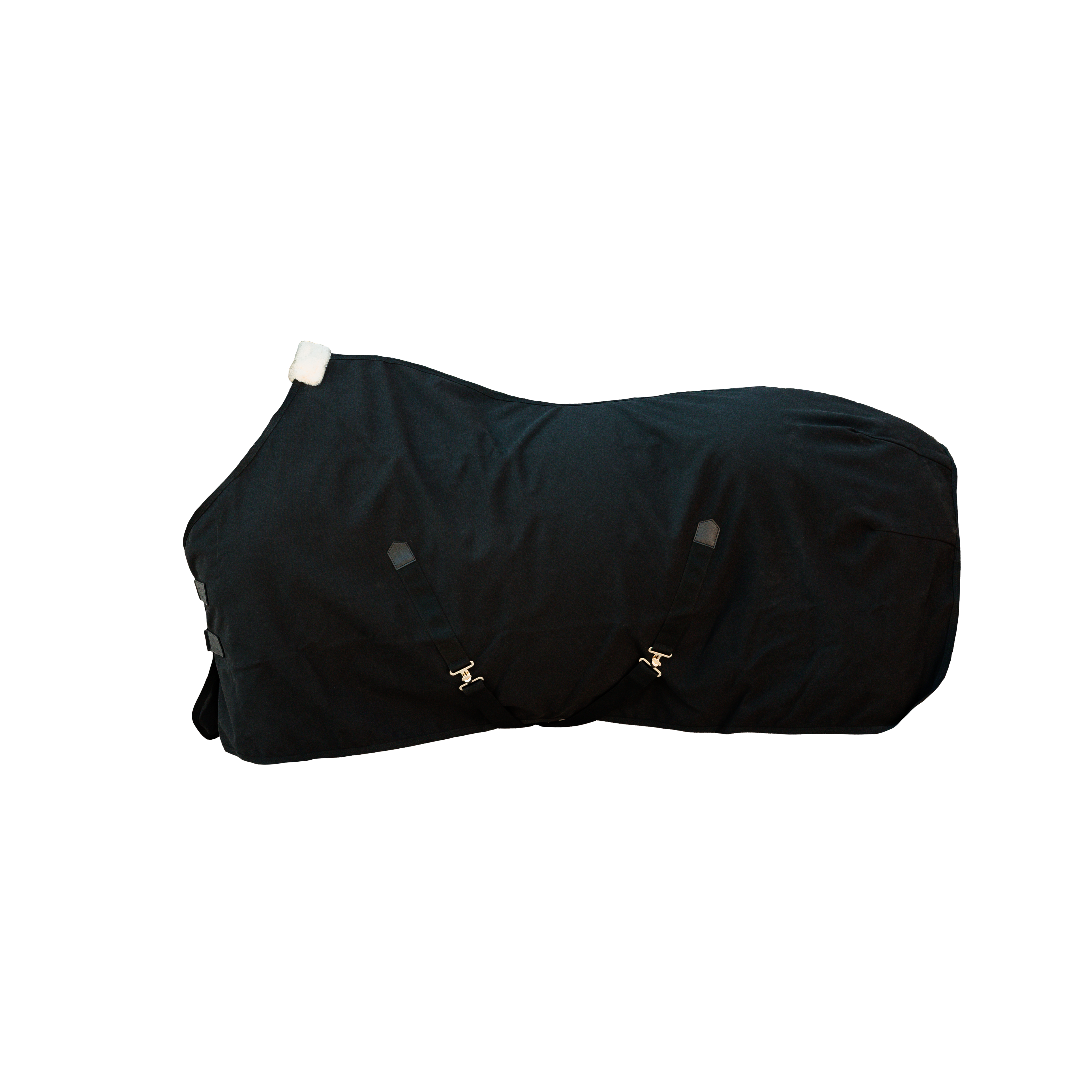 Canvas Decke 125 5