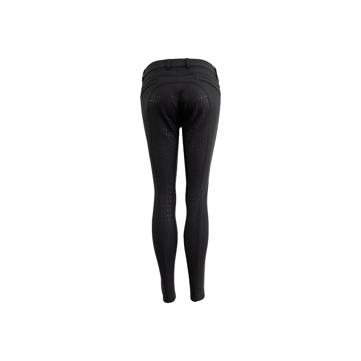 Premiere Reithose Begonia
