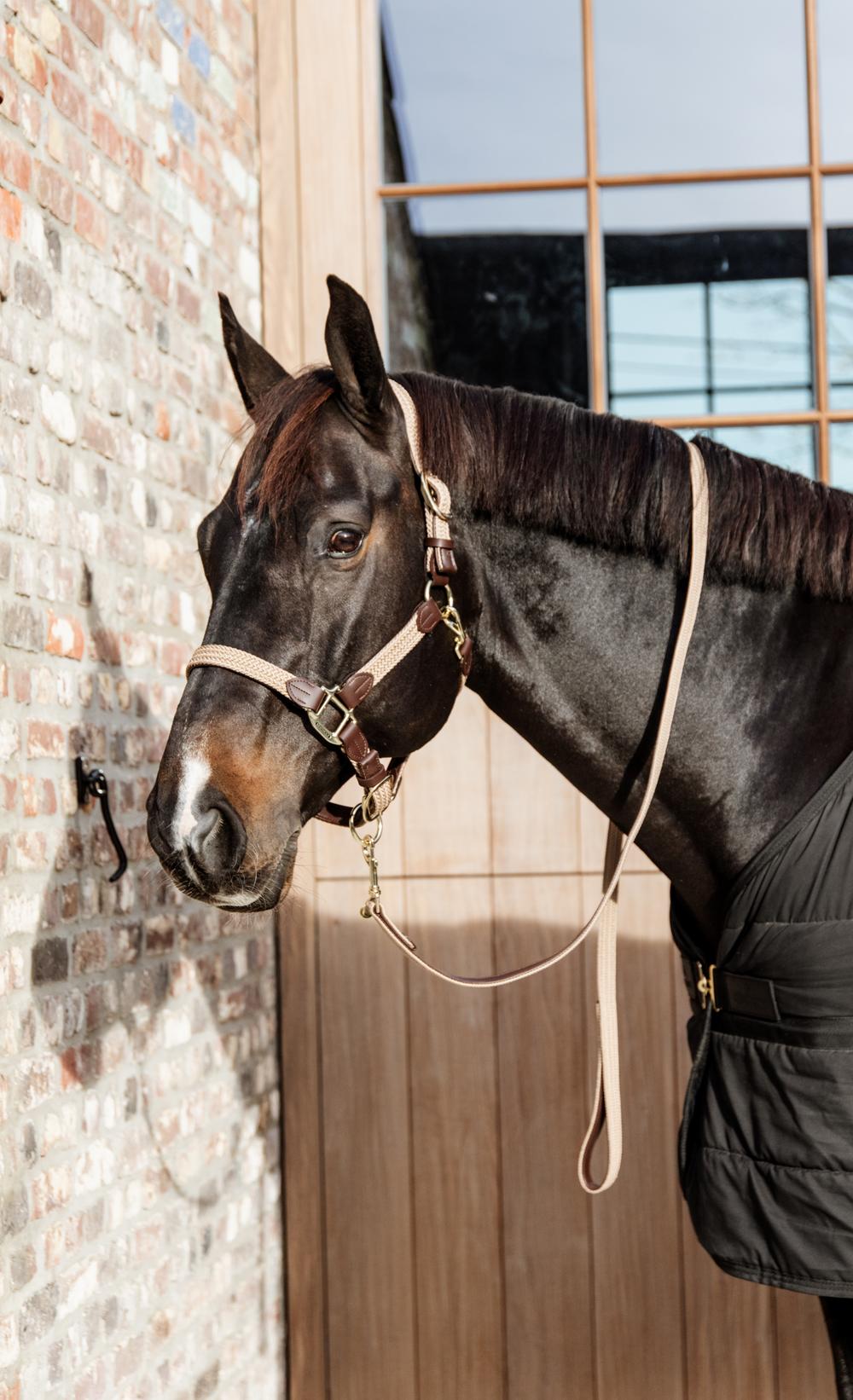 Leine Plaited Nylon - Kentucky Horsewear
