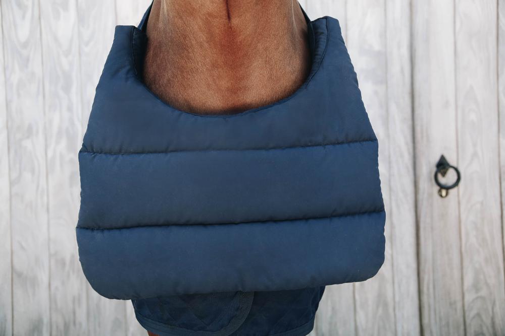Horse BIB Sommer