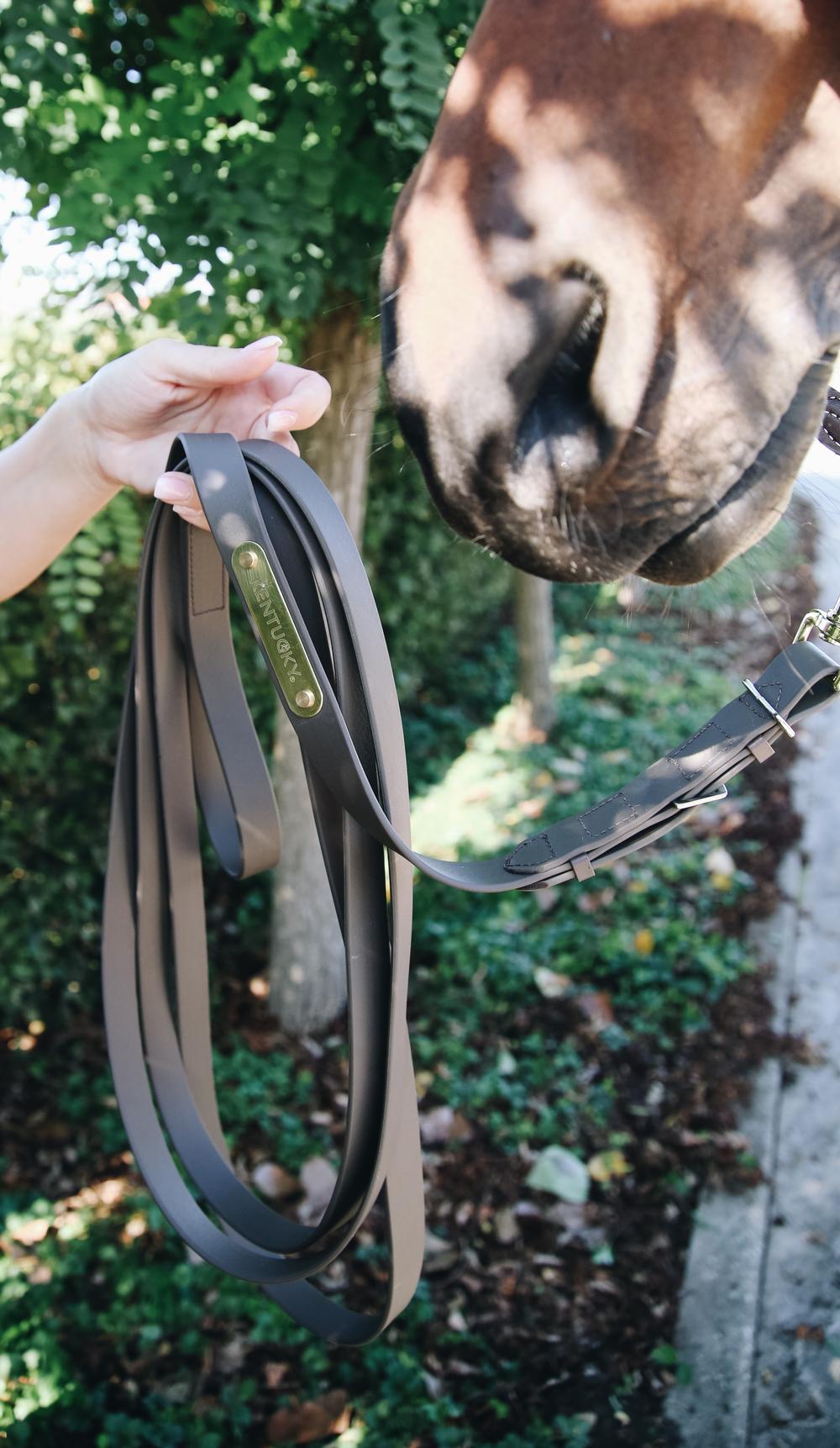 Vorführstrick - Kentucky Horsewear