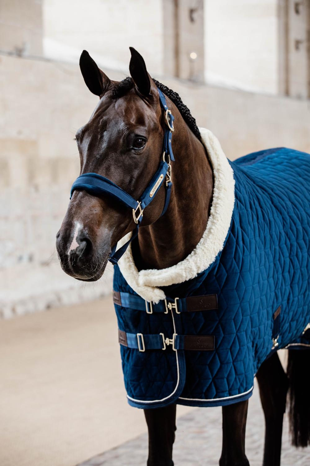 Velvet Halfter - Kentucky Horsewear