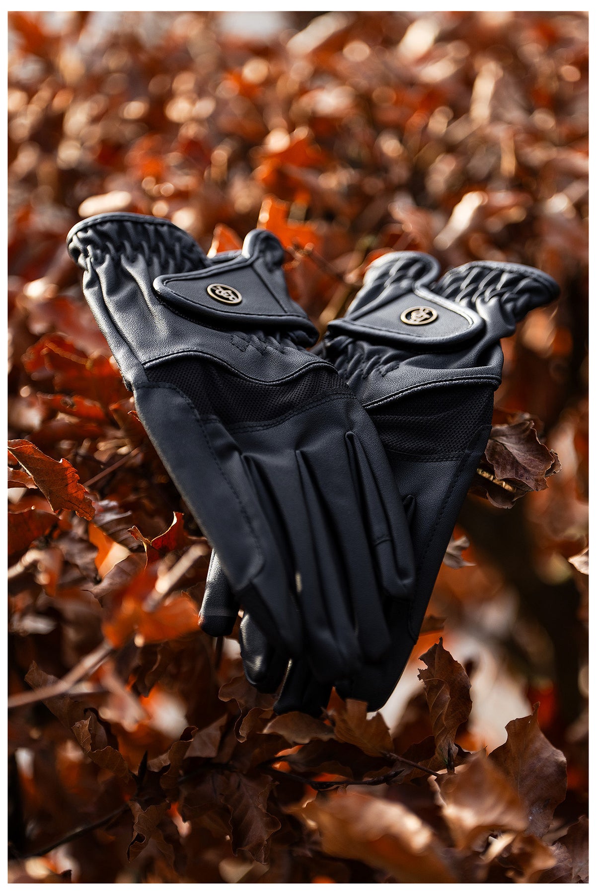 BR Reithandschuhe Stork
