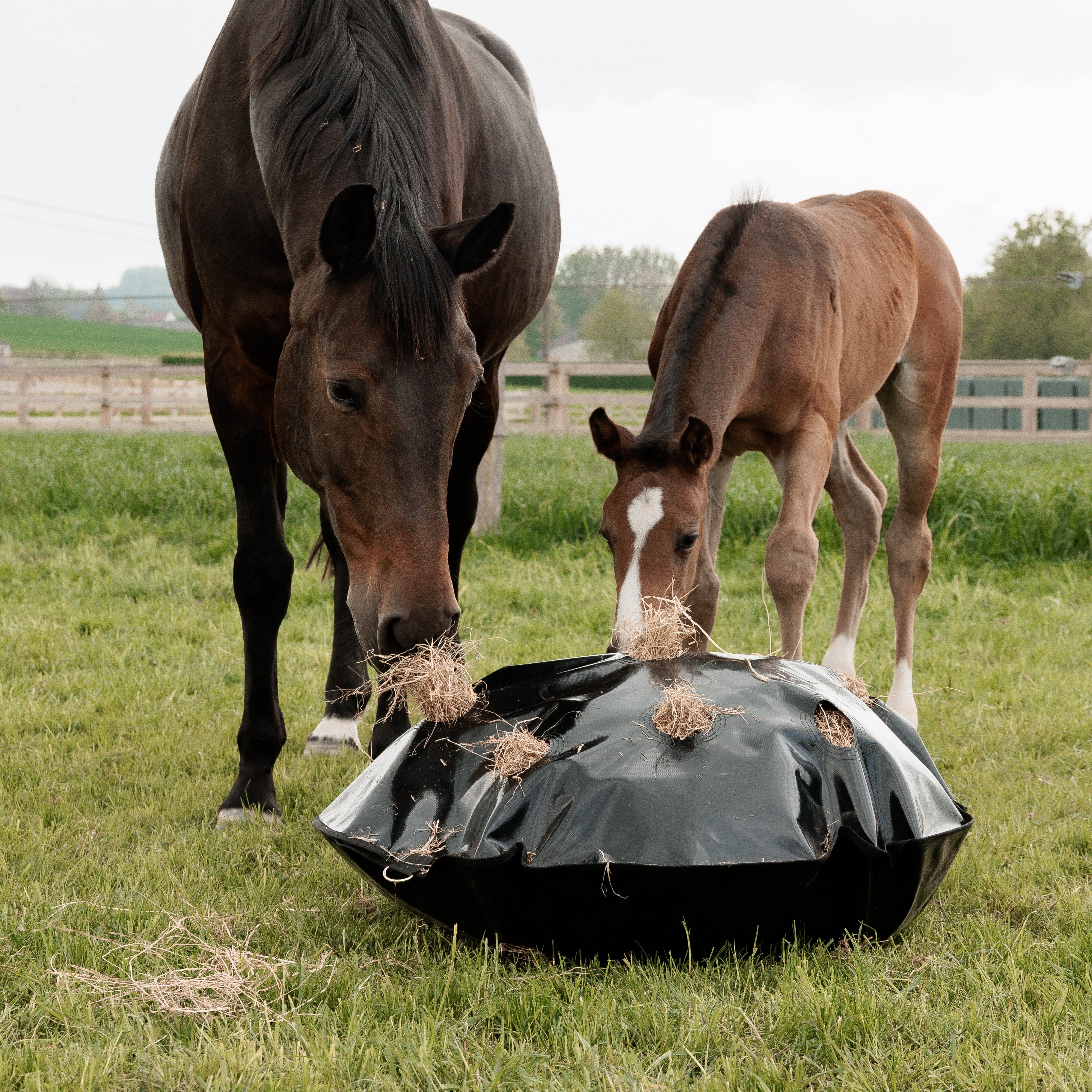 Spiel Heusack Slowfeeder Rund