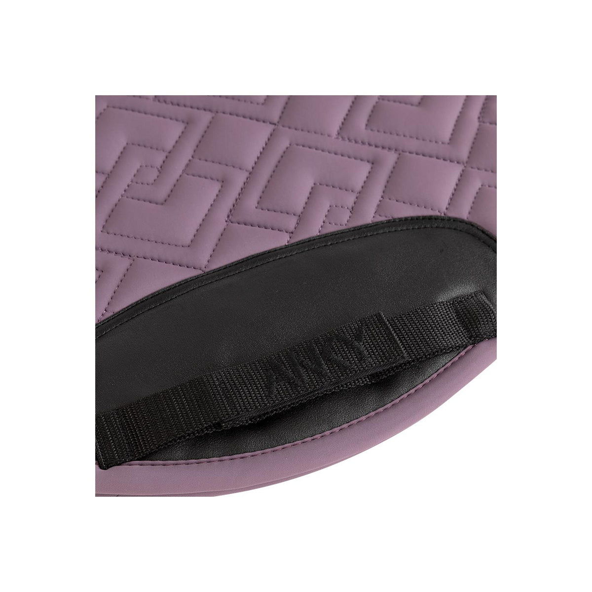 ANKY® Vielseitigkeitsschabracke Amity XB262111