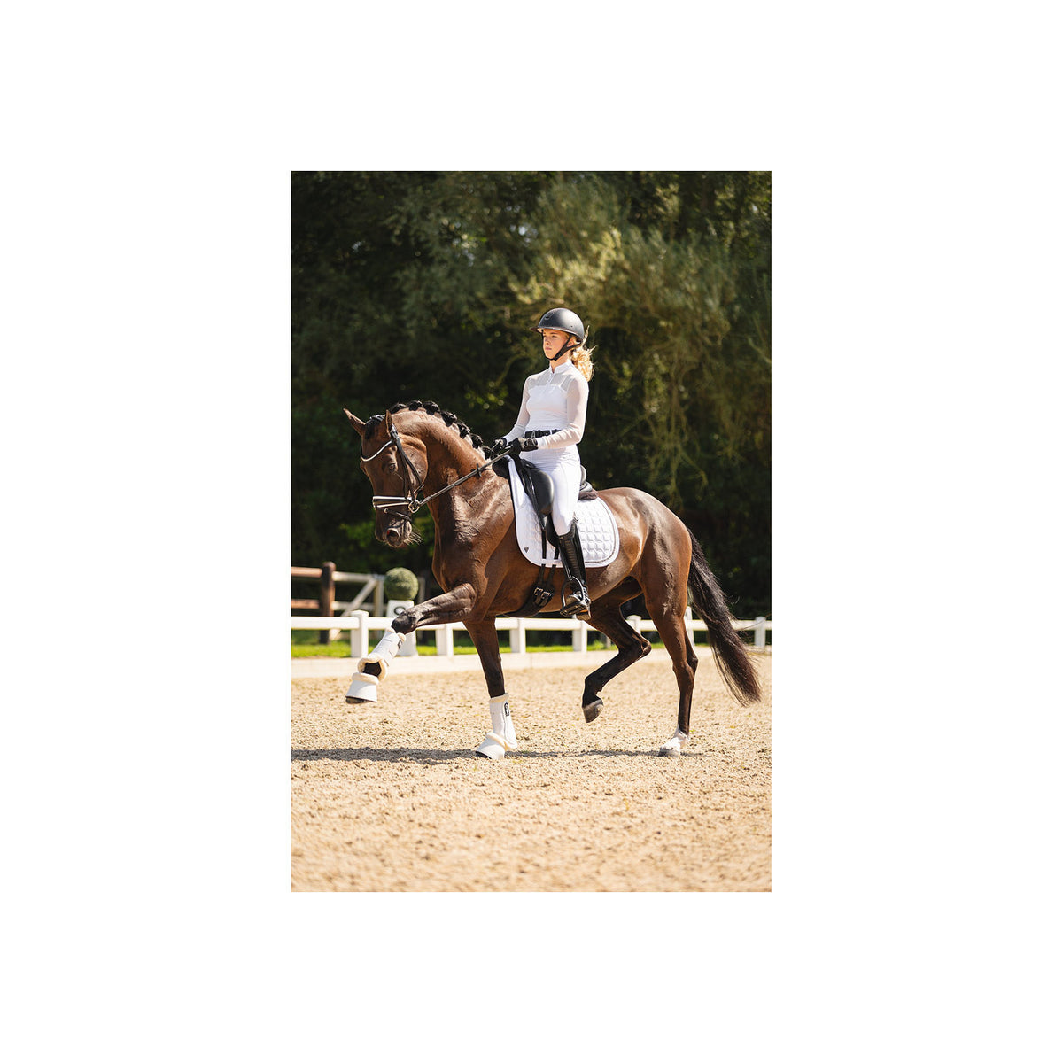 ANKY® Dressurschabracke Nylon Luminous XB24003