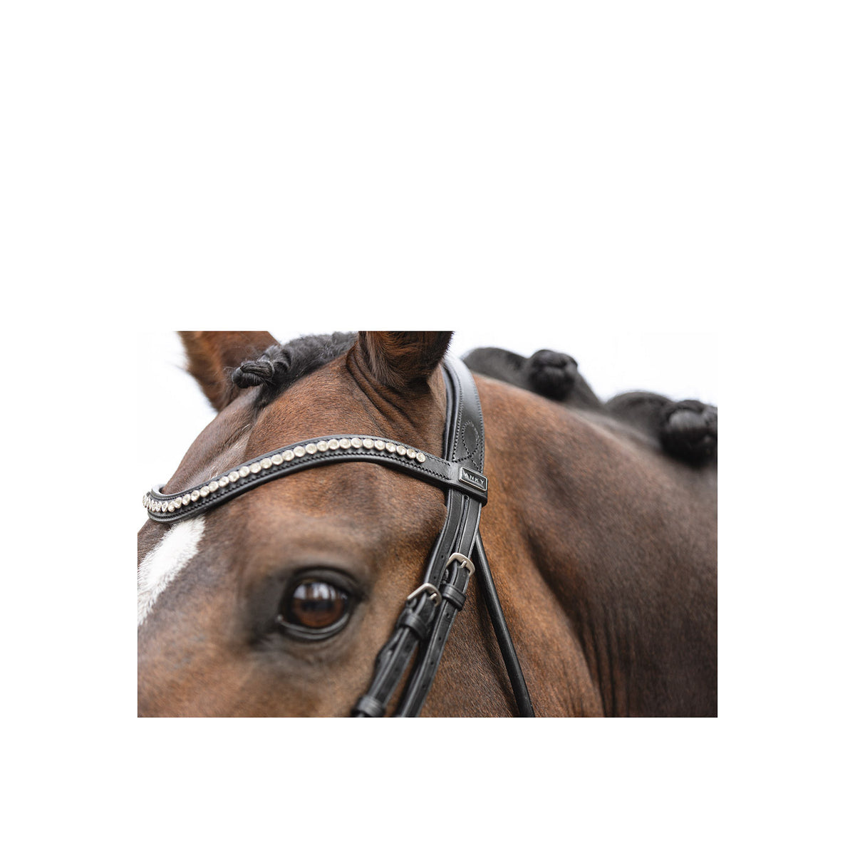 ANKY® Trense ATH16003