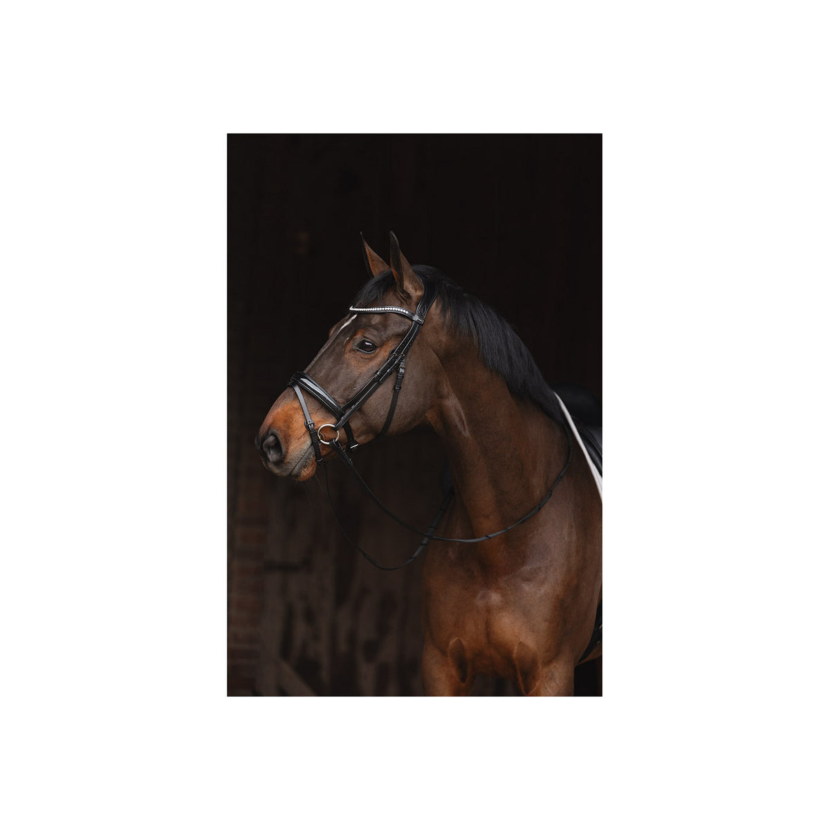 ANKY® Trense, Metallic-Lack ATH24001