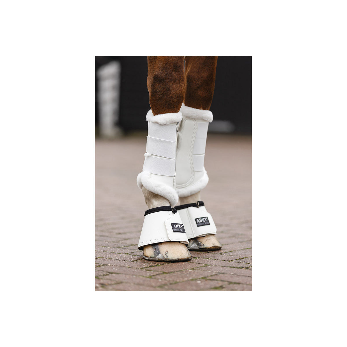 ANKY® Reitstiefel Proficient ATB23003