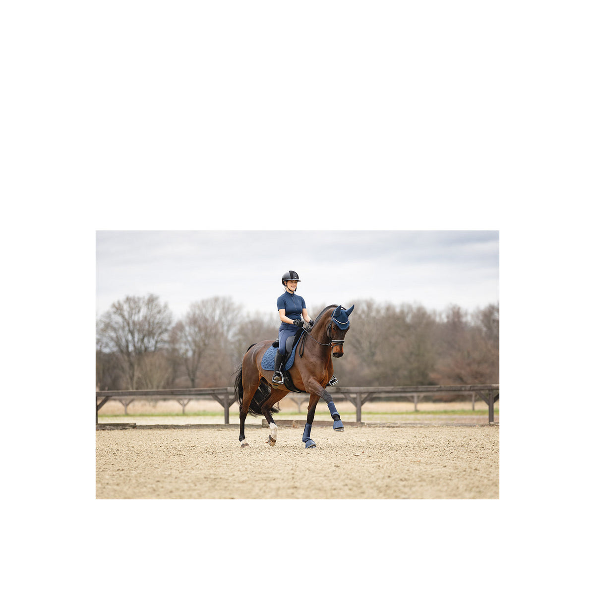 ANKY® Reitstiefel Proficient ATB25005 3C