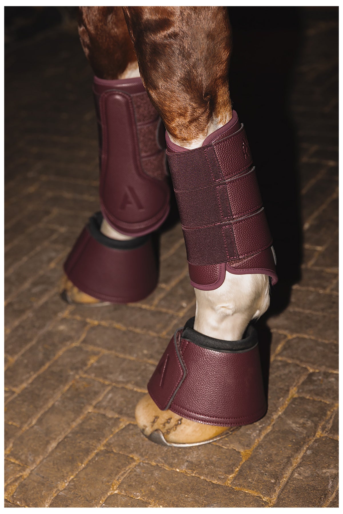 ANKY® Reitstiefel Proficient ATB25005 3C