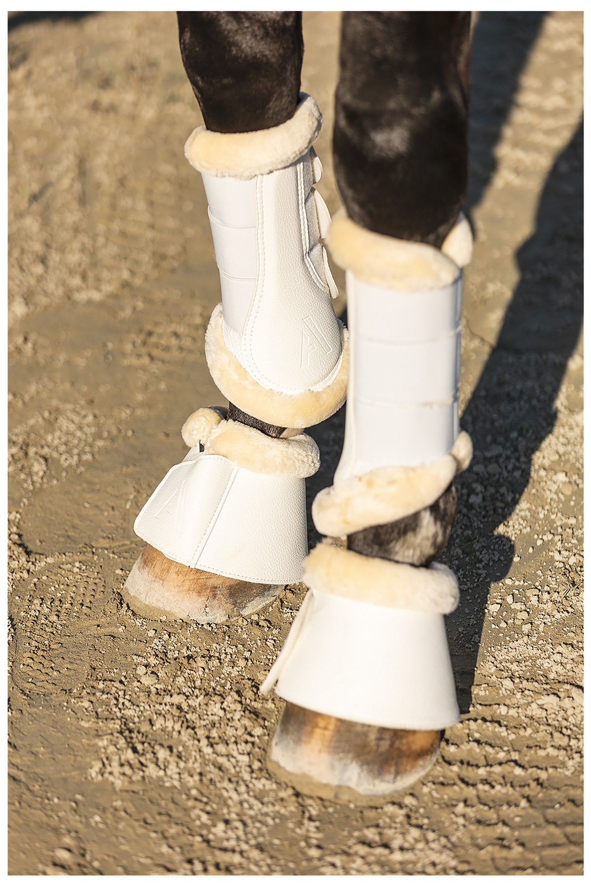 ANKY® Reitstiefel Proficient Mesh ATB26003