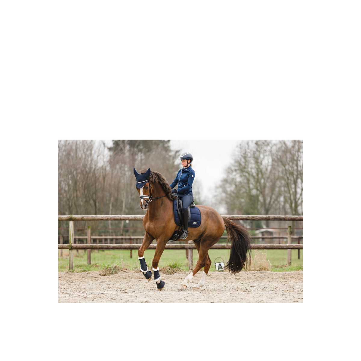 ANKY® Hufglocken ATB23005