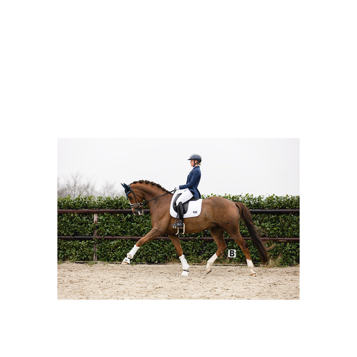 ANKY® Hufglocken ATB23005