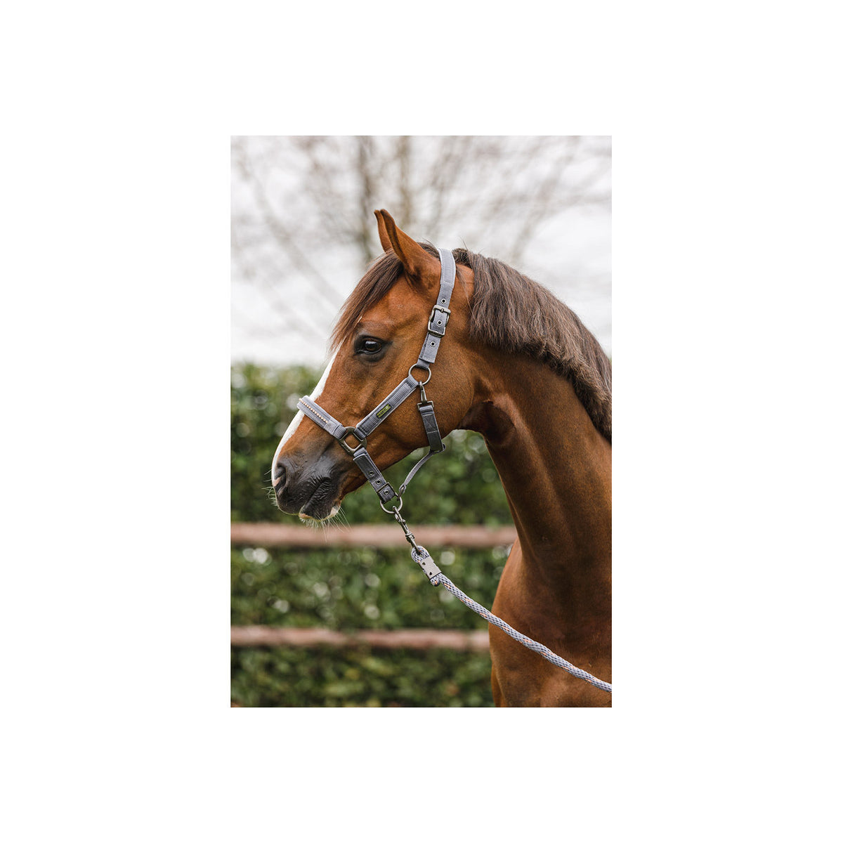 ANKY® Halfter & Führstrick mit Strasssteinen ATH23001