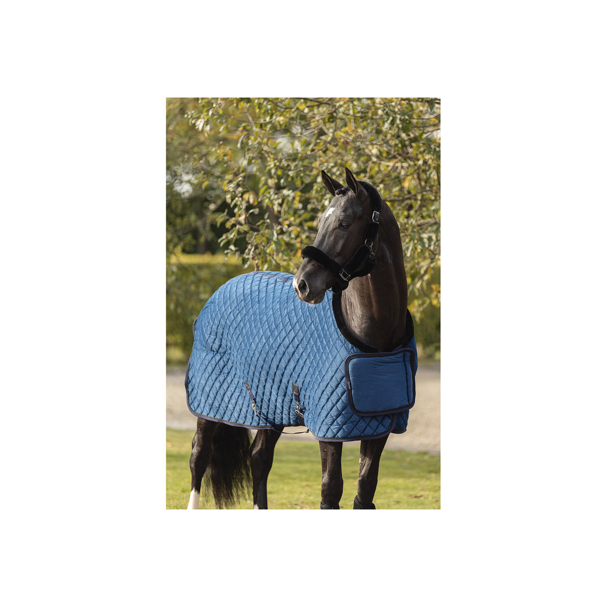 ANKY® Fluffy-Halfter ATH23002