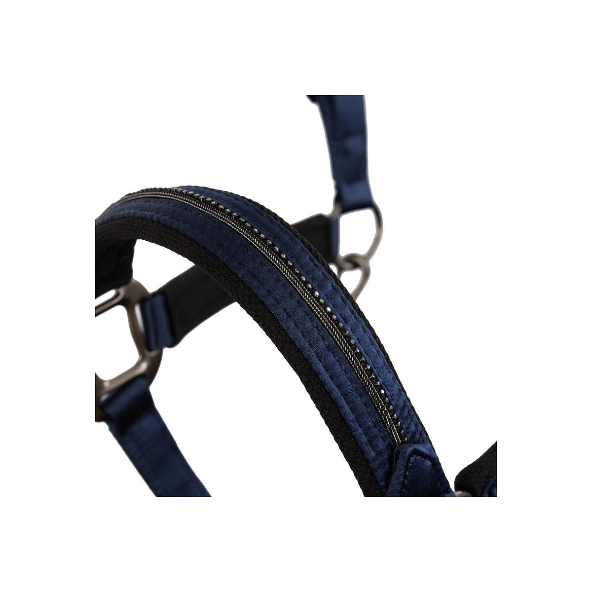 ANKY® Halfter Victory ATH25001