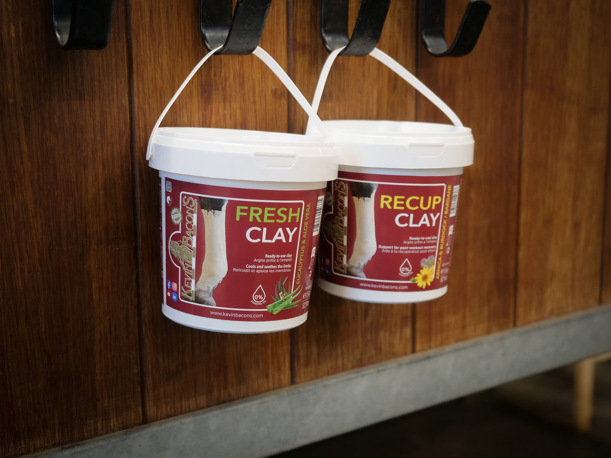 Fresh Clay 3 kg